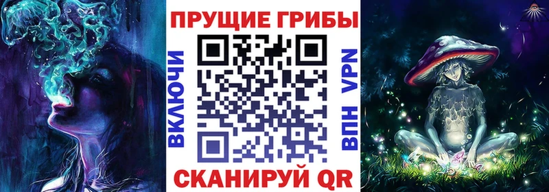 Псилоцибиновые грибы Psilocybe  Мантурово 
